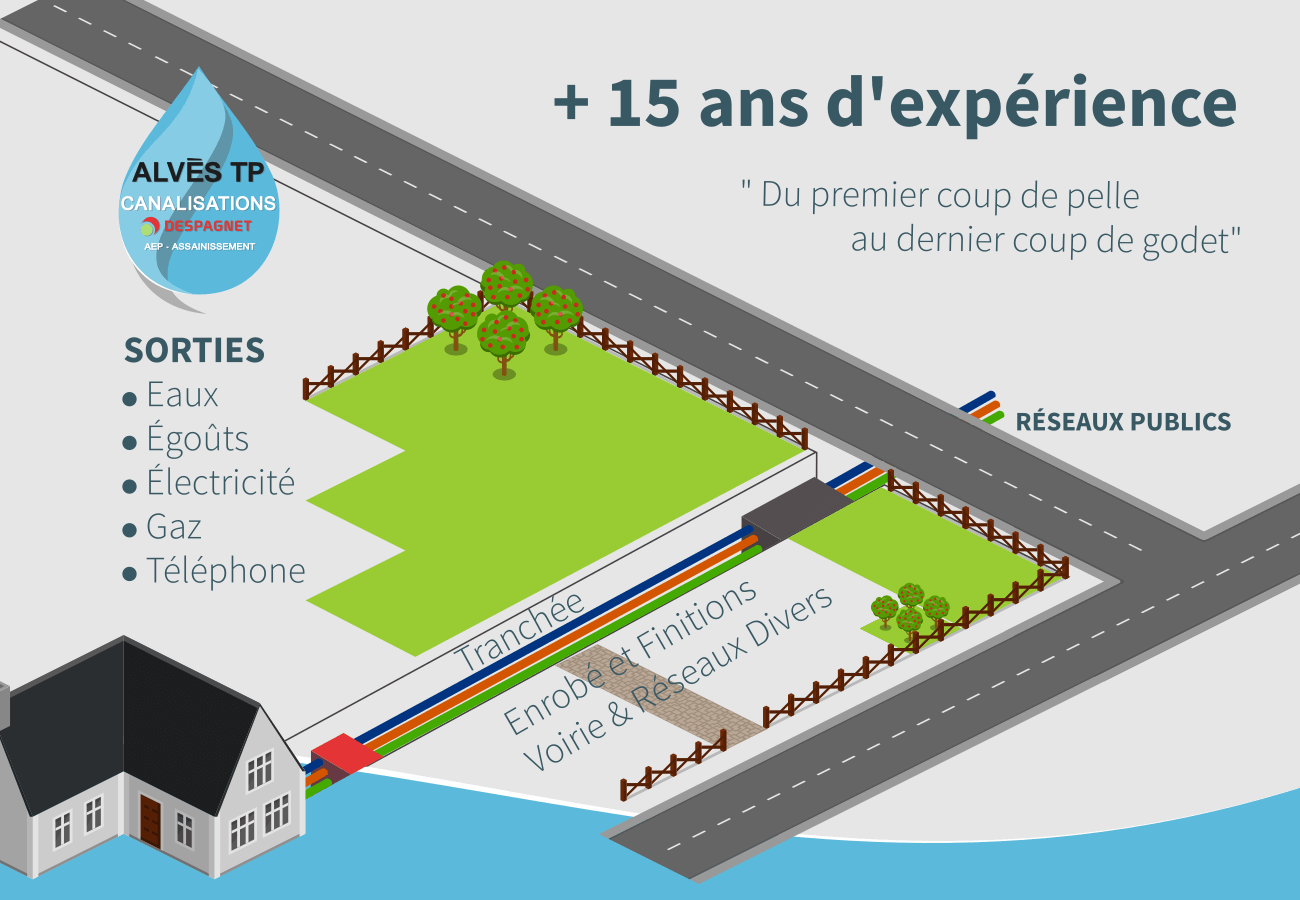 Alvès TP croquis activité
